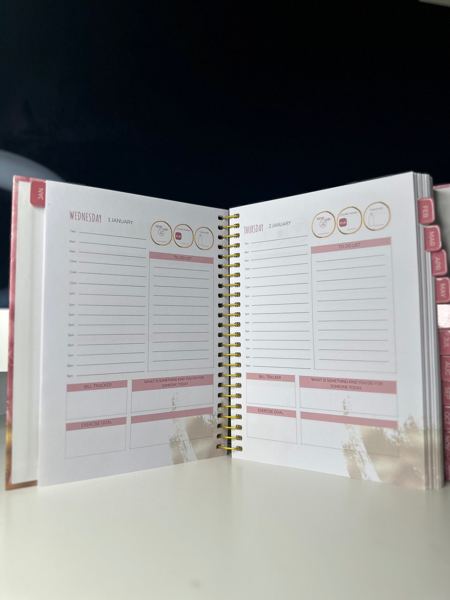 2025 Envision Planner